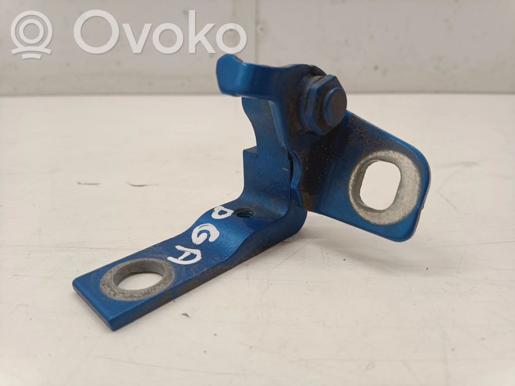 Rear door lower hinge