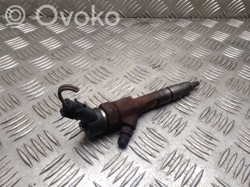 Renault Megane II Fuel injector 