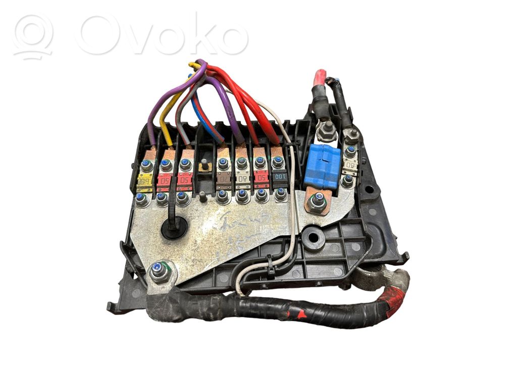 Ford Focus Positive wiring loom 