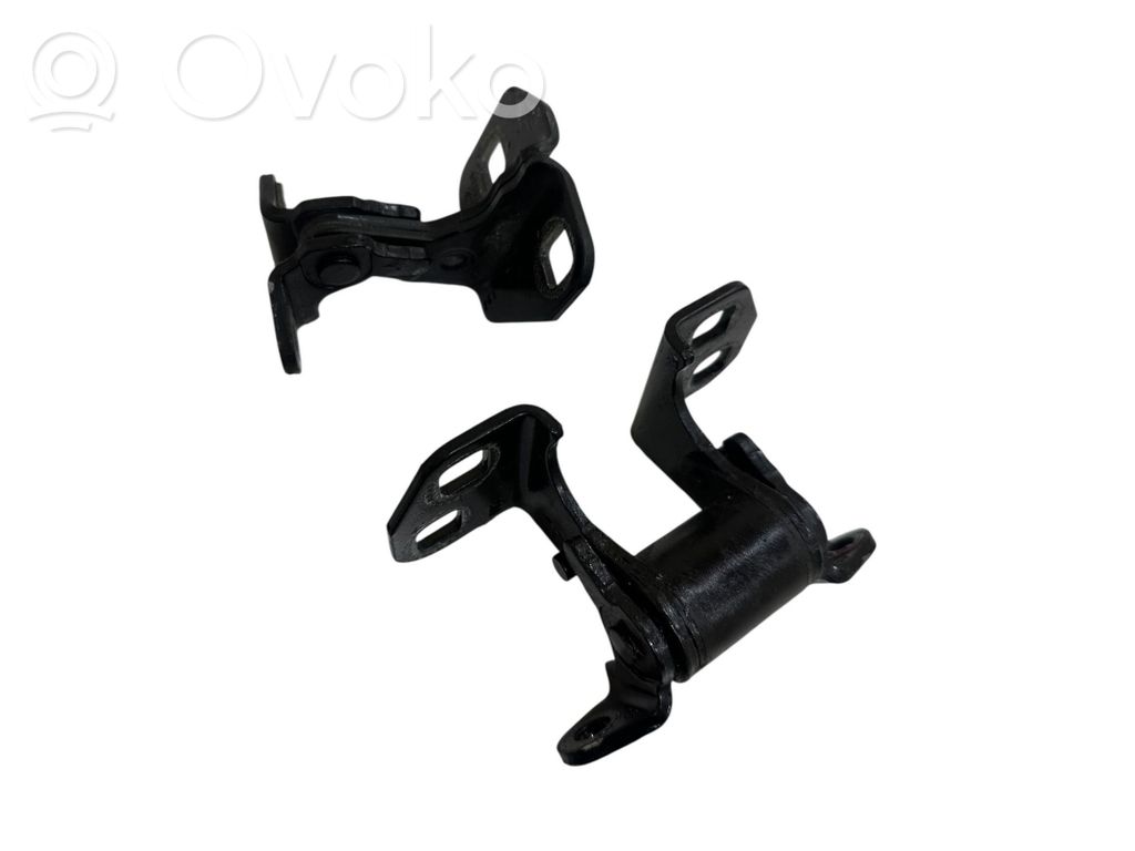 Tesla Model S Front door hinges set 