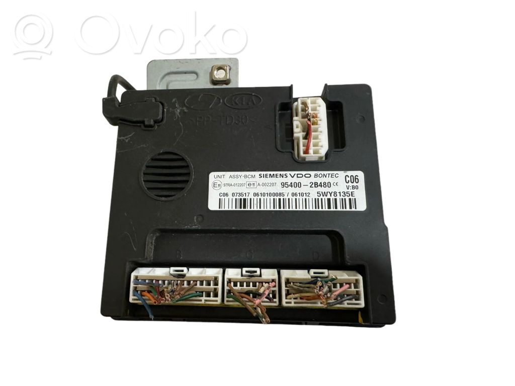Hyundai Santa Fe Immobilizer control unit/module 
