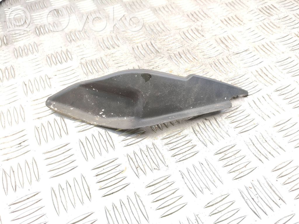 Moldura del limpia