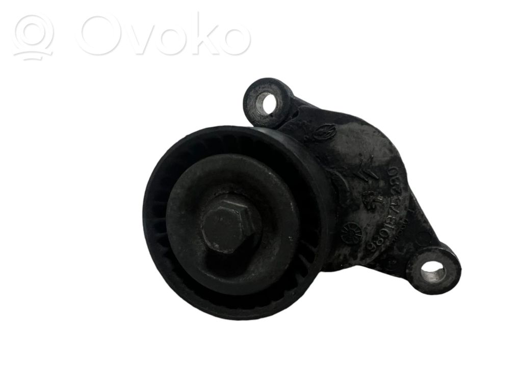 Citroen DS5 Generator/alternator belt tensioner 