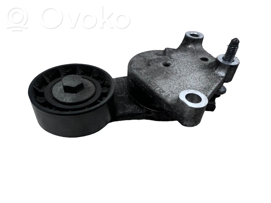 Citroen C3 Tendicinghia generatore/alternatore