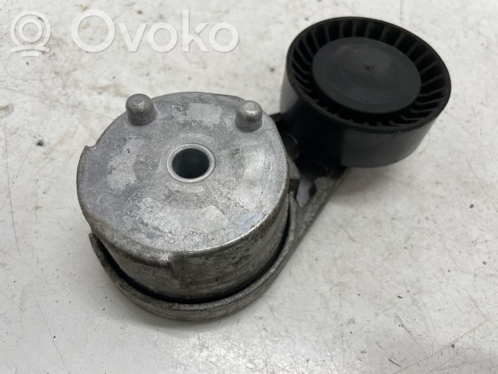Land Rover Range Rover Sport L494 Tendicinghia generatore/alternatore