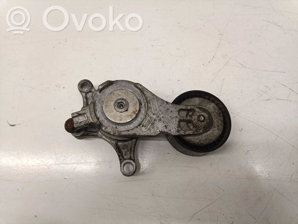 Întinzător curea generator/alternator