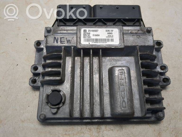 Opel Antara Engine control unit/module 