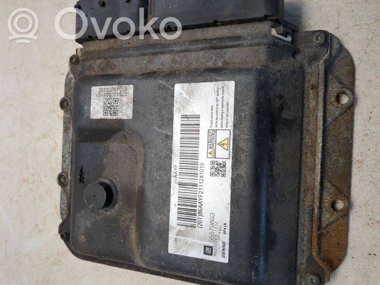 Engine control unit/module   55579893,86AYF2111241019