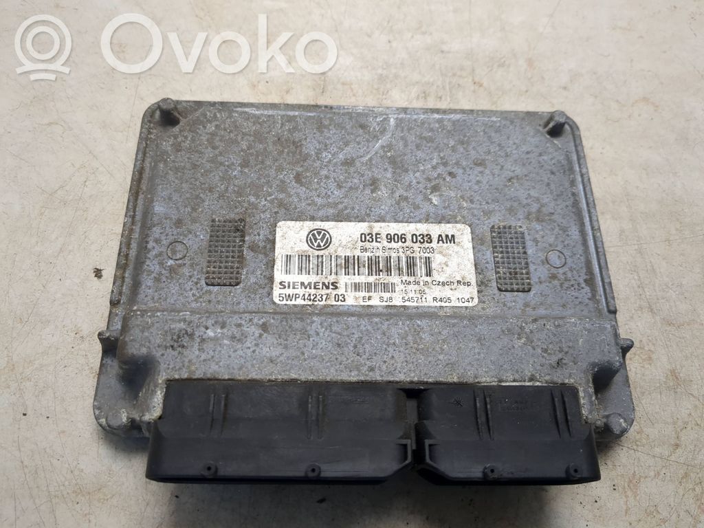 Seat Ibiza III (6L) Engine control unit/module 