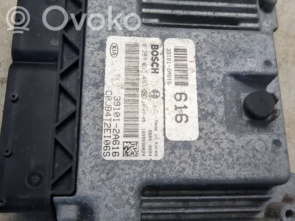 Engine control unit/module   391012A616,0281015461,1039S30824