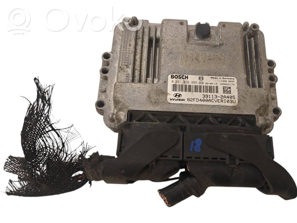 Sterownik / Moduł ECU   391132A405,0281015865