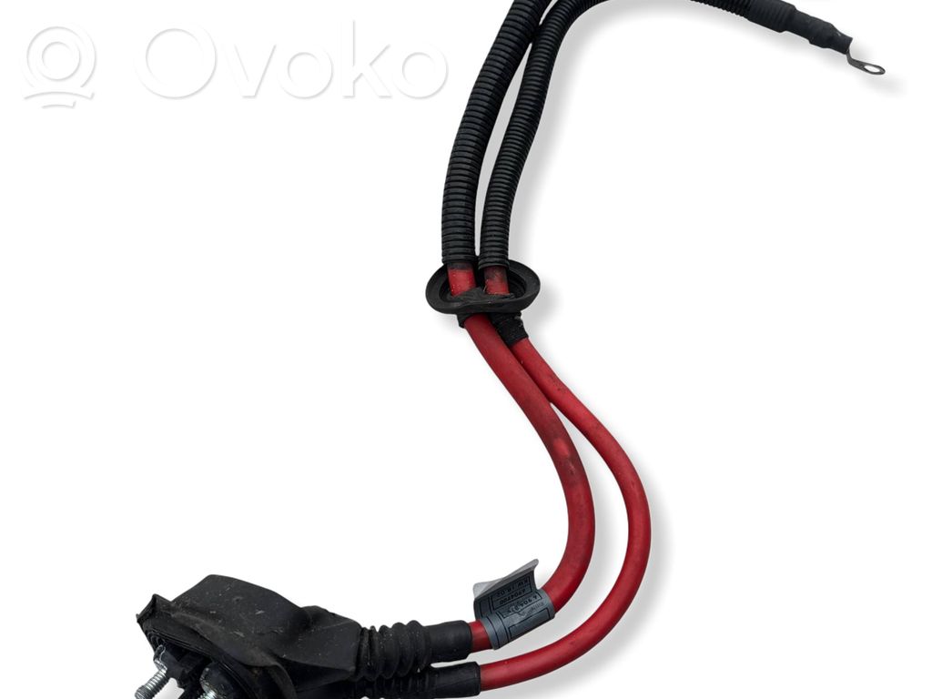 Positive cable (battery)   6904875,6904900