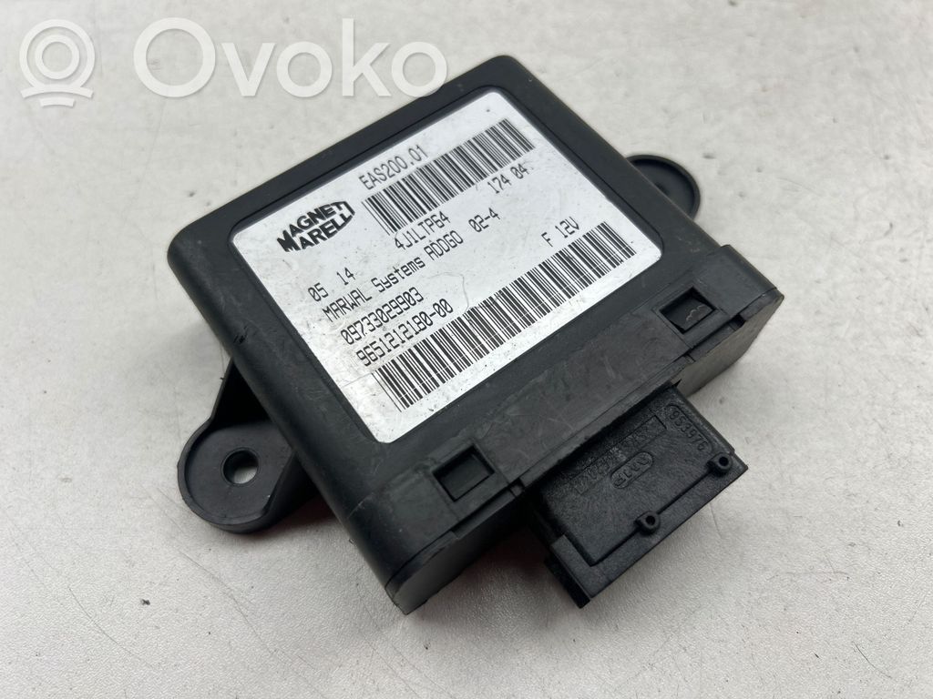 Peugeot 307 Other control units/modules 