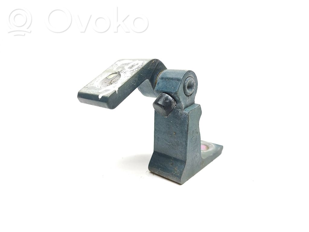 Volkswagen Tiguan Allspace Front door lower hinge 