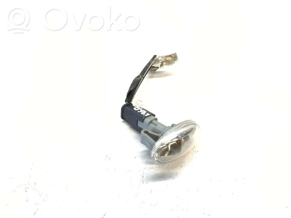 Citroen Jumpy Seitenblinker 