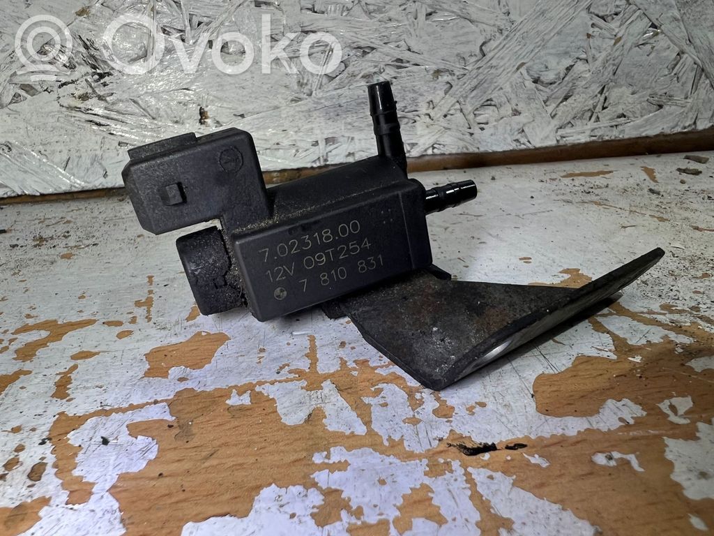Solenoidinis vožtuvas   7810831
