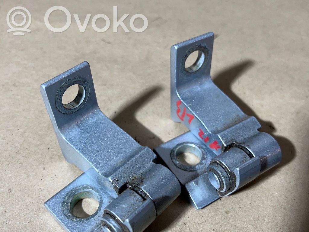 Volkswagen Tiguan Rear door hinge set 