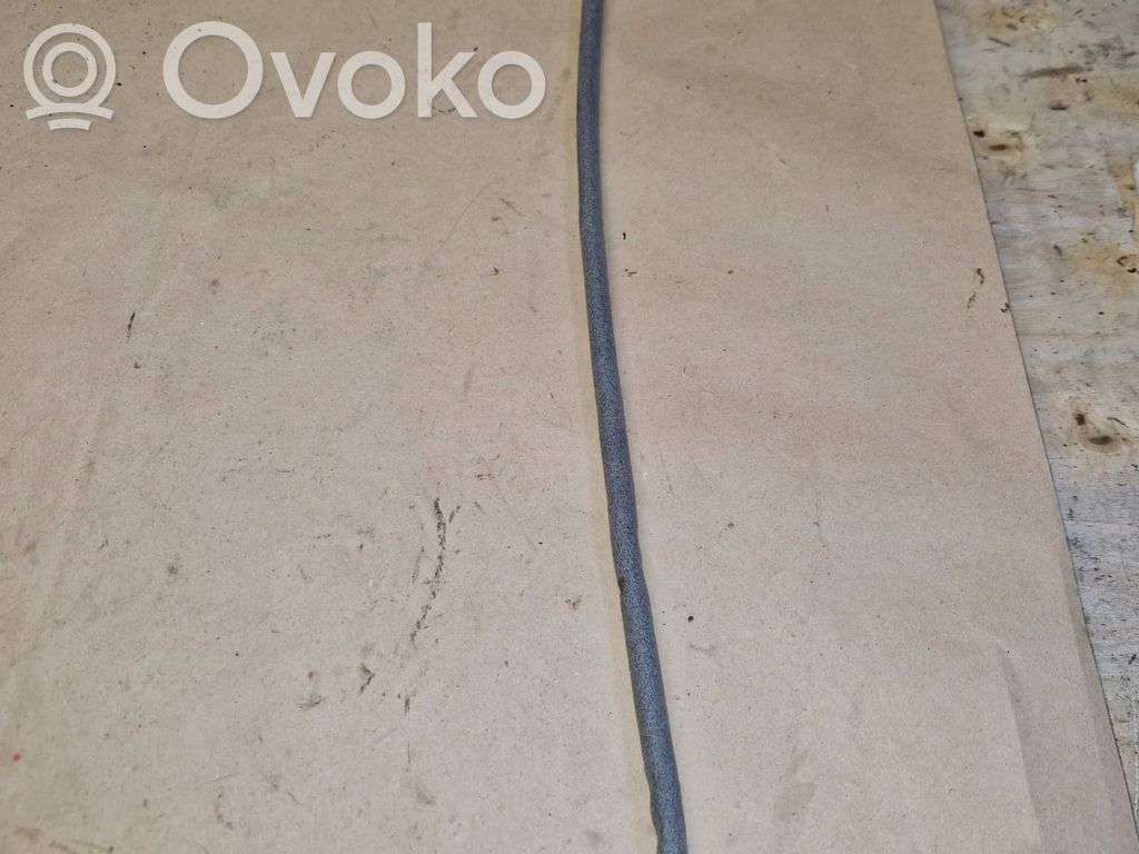 BMW 1 E81 E87 Front door cable line 