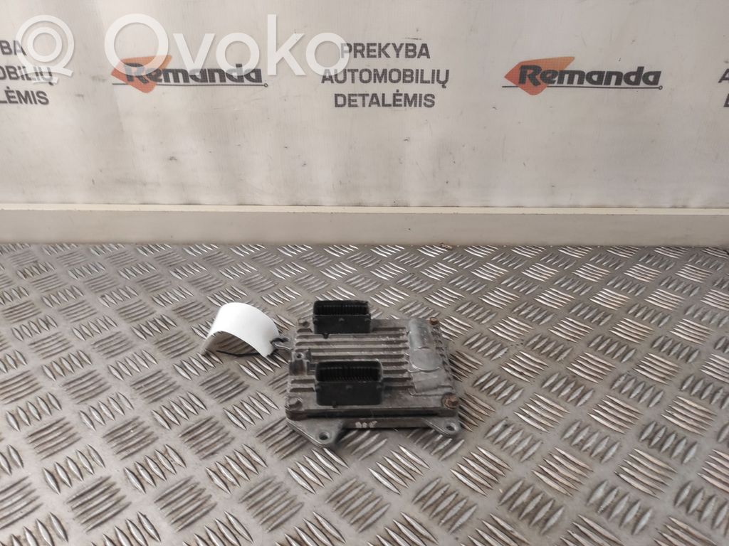 Opel Signum Engine control unit/module 