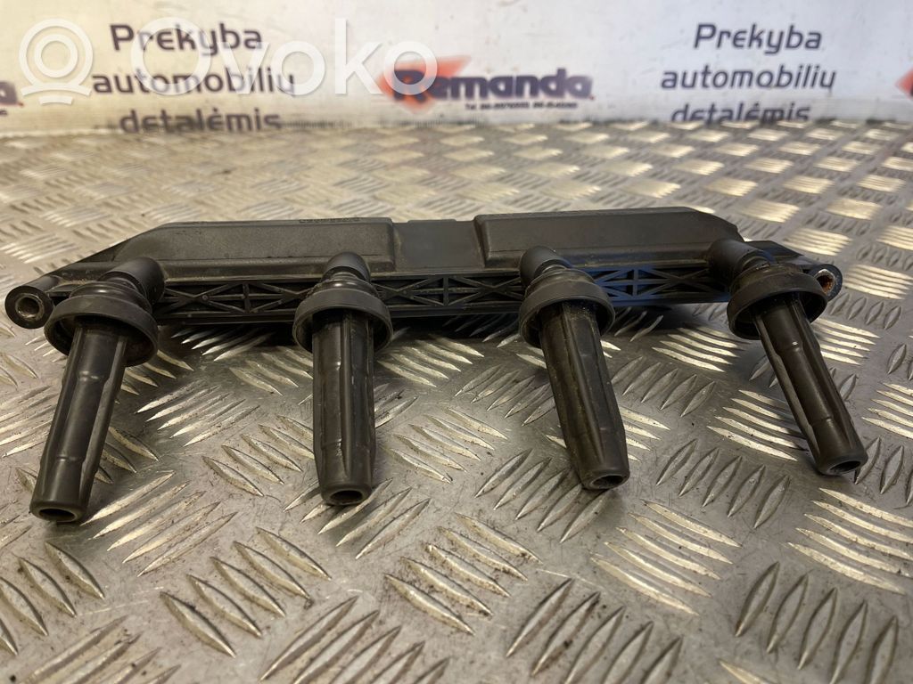 Peugeot 206 Aukštos įtampos ritė "babyna" 