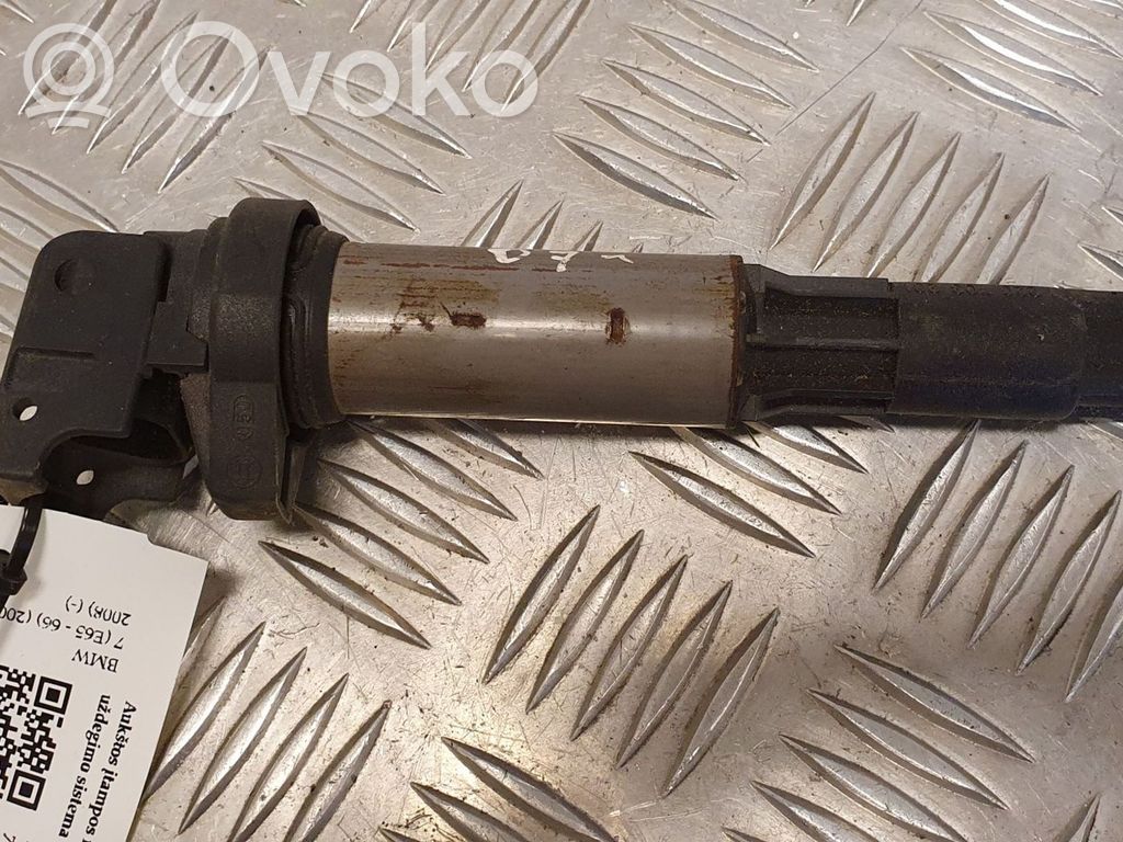 BMW 7 E65 E66 Aukštos įtampos ritė "babyna" 