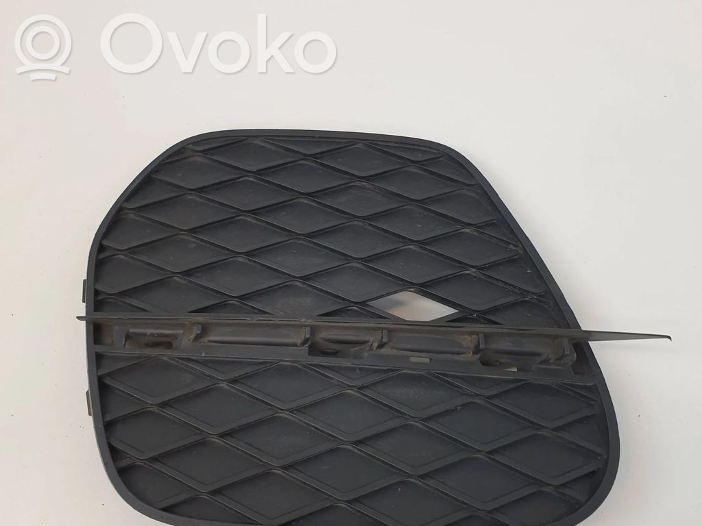 BMW X5 E70 Front bumper lower grill 