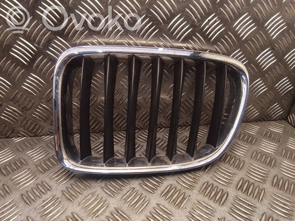 BMW X1 E84 Front grill 