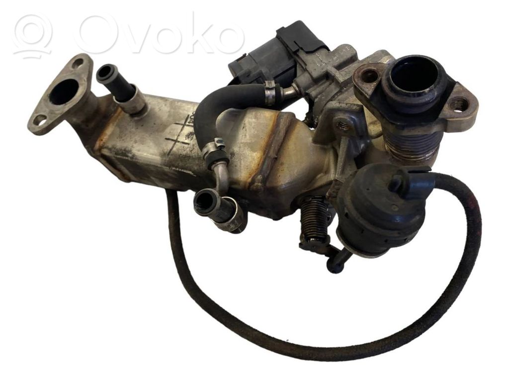 BMW 5 F10 F11 EGR dzesētājs 