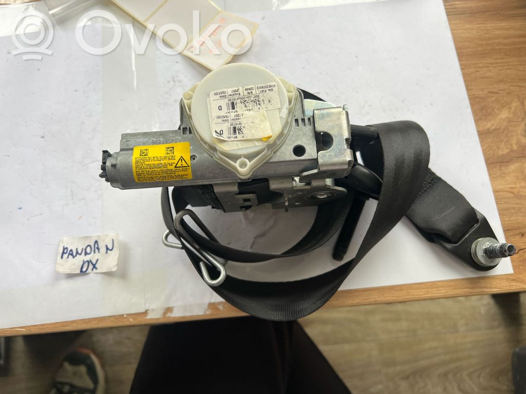 Cinturón delantero   99816072