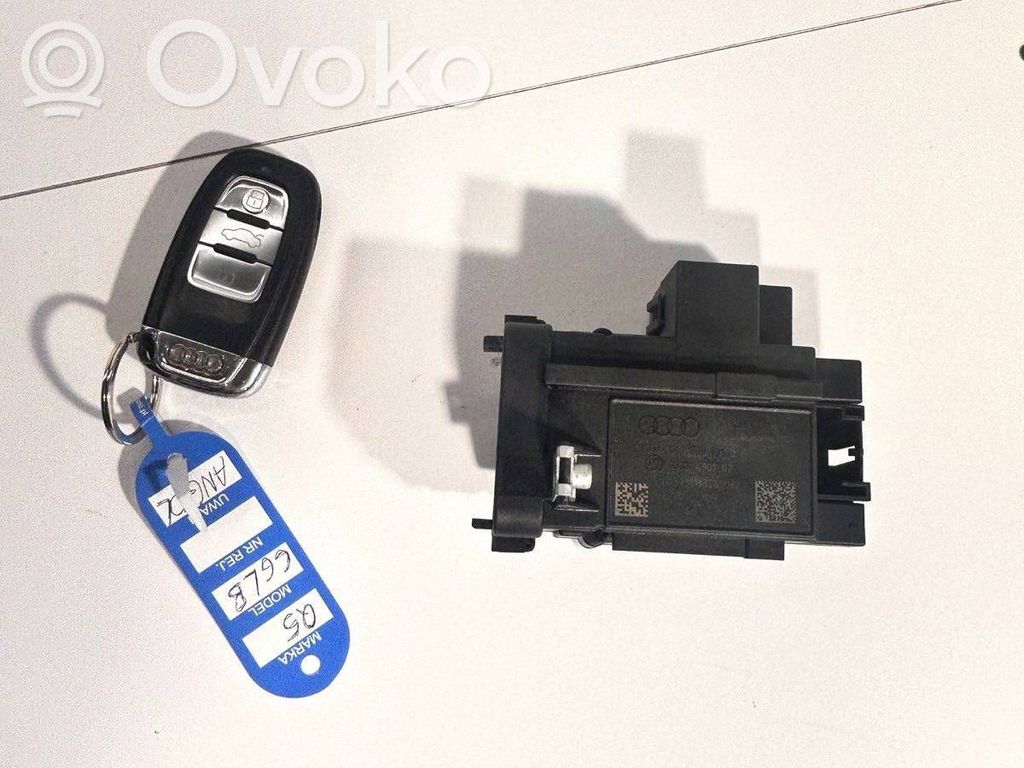Audi Q5 SQ5 8R Stacyjka