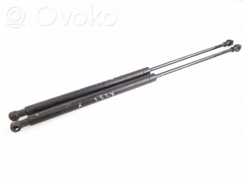 Citroen C5 Gasdruckfeder Dämpfer Motorhaube