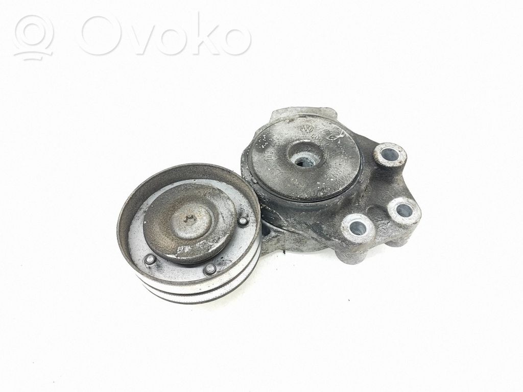 Volkswagen PASSAT B7 Întinzător curea generator/alternator 