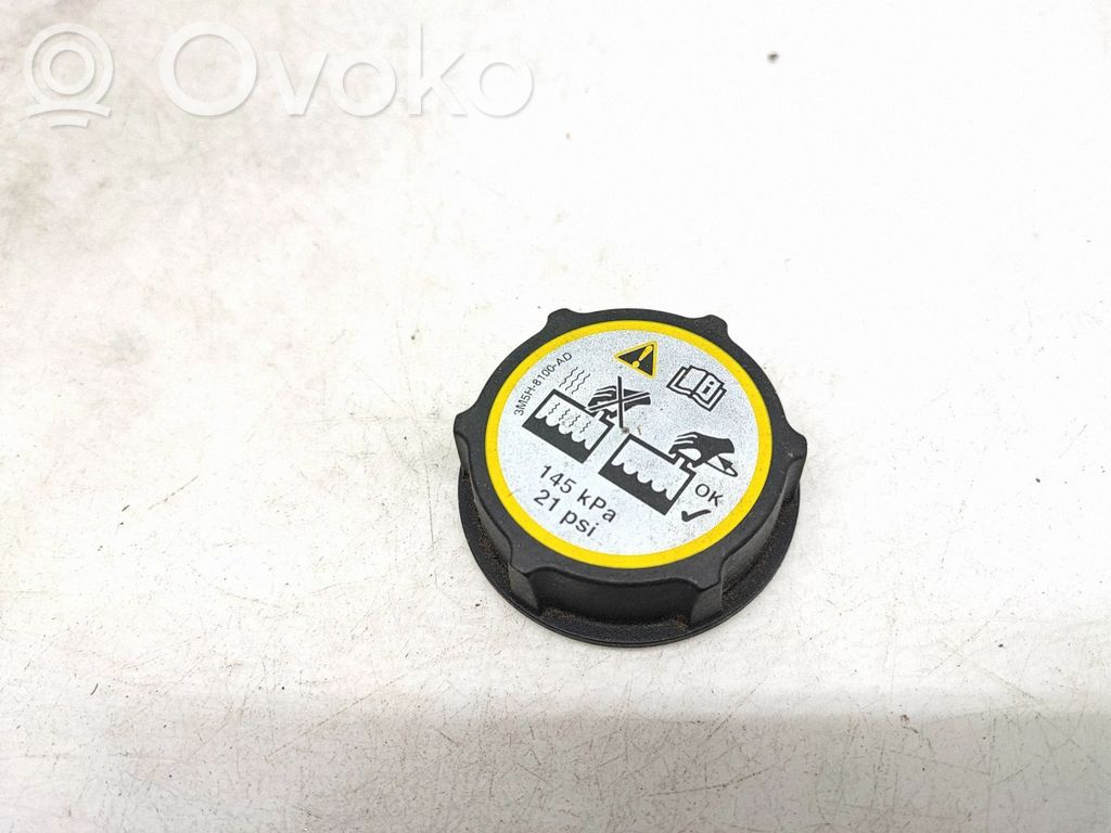 Ford Focus Serbatoio di compensazione del liquido refrigerante/coperchio