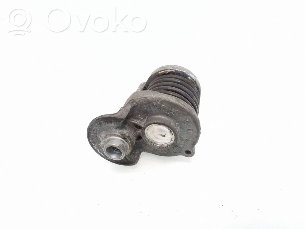 Audi A4 S4 B7 8E 8H Întinzător curea generator/alternator