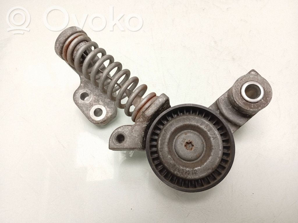 Volvo V40 Tendicinghia generatore/alternatore