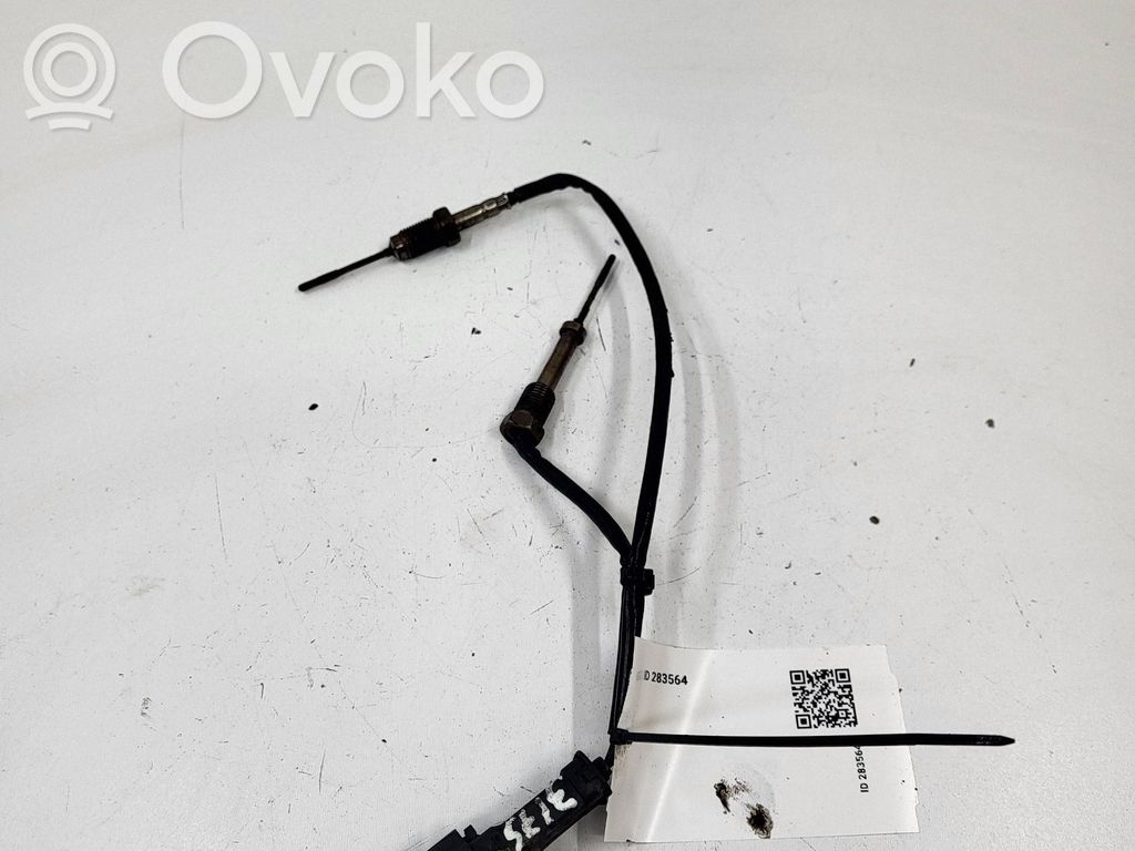 Citroen DS4 Abgastemperatursensor