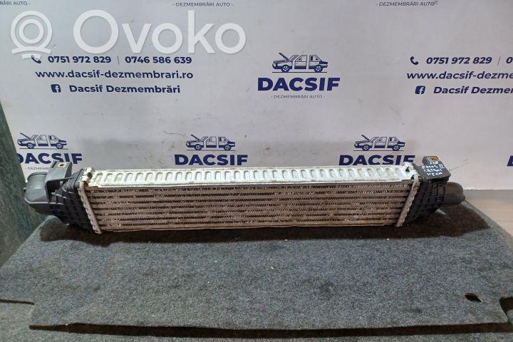 Ladeluftkühler   18TDCI3M5H9L440AE