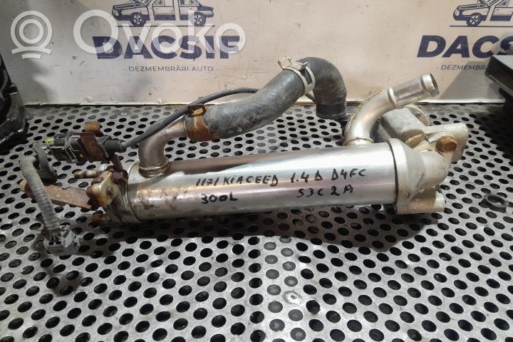 EGR dzesētājs   284162A770