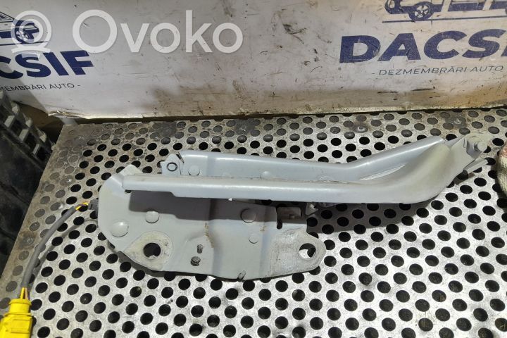 Volkswagen Tiguan Bisagras del capó/tapa del motor 