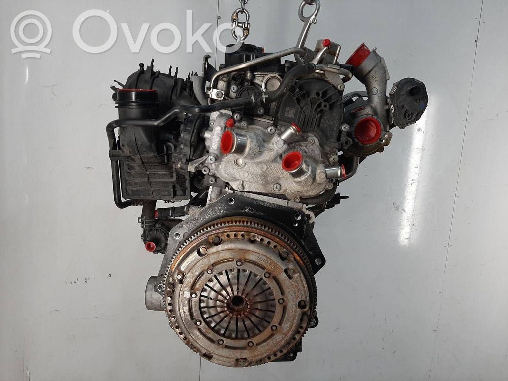 Motor   DPBA,DPB