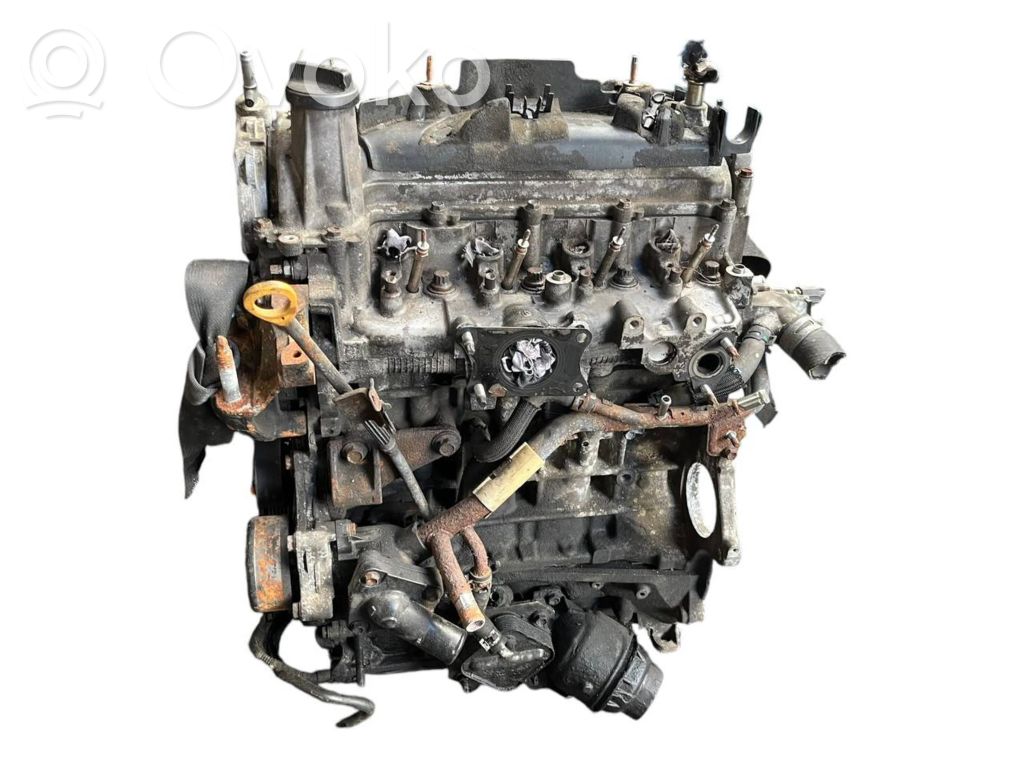 Motor