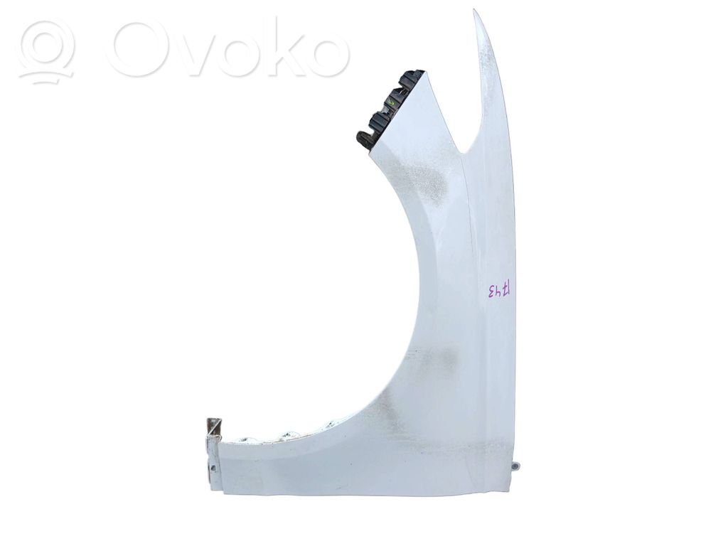 Parafango