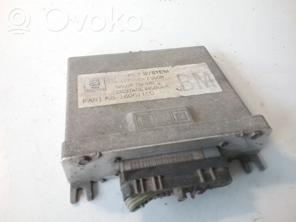 Engine control unit/module   16061100