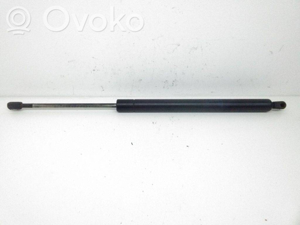 Tailgate/trunk strut/damper