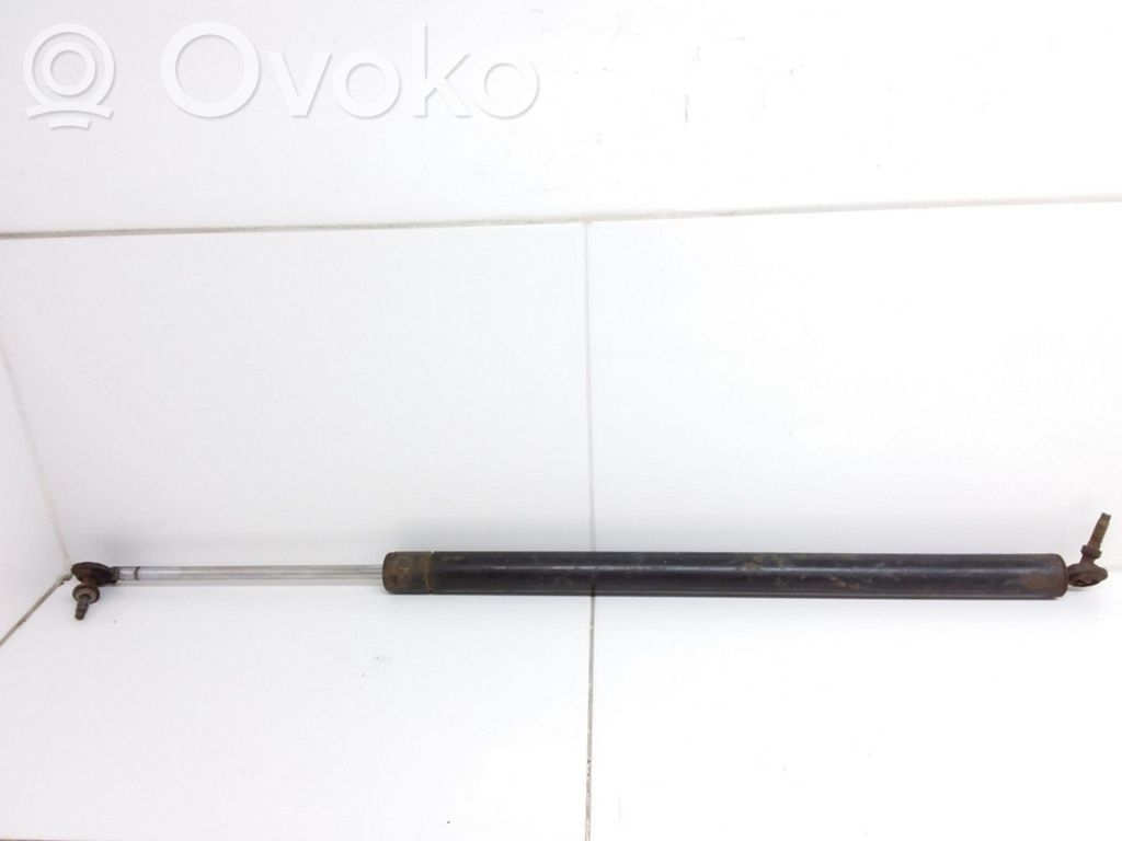 Tailgate/trunk strut/damper