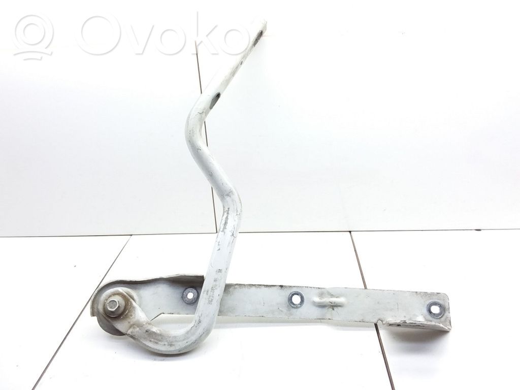 Chrysler Voyager Engine bonnet/hood hinges 
