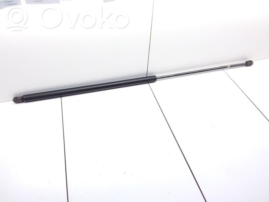 Tailgate/trunk strut/damper