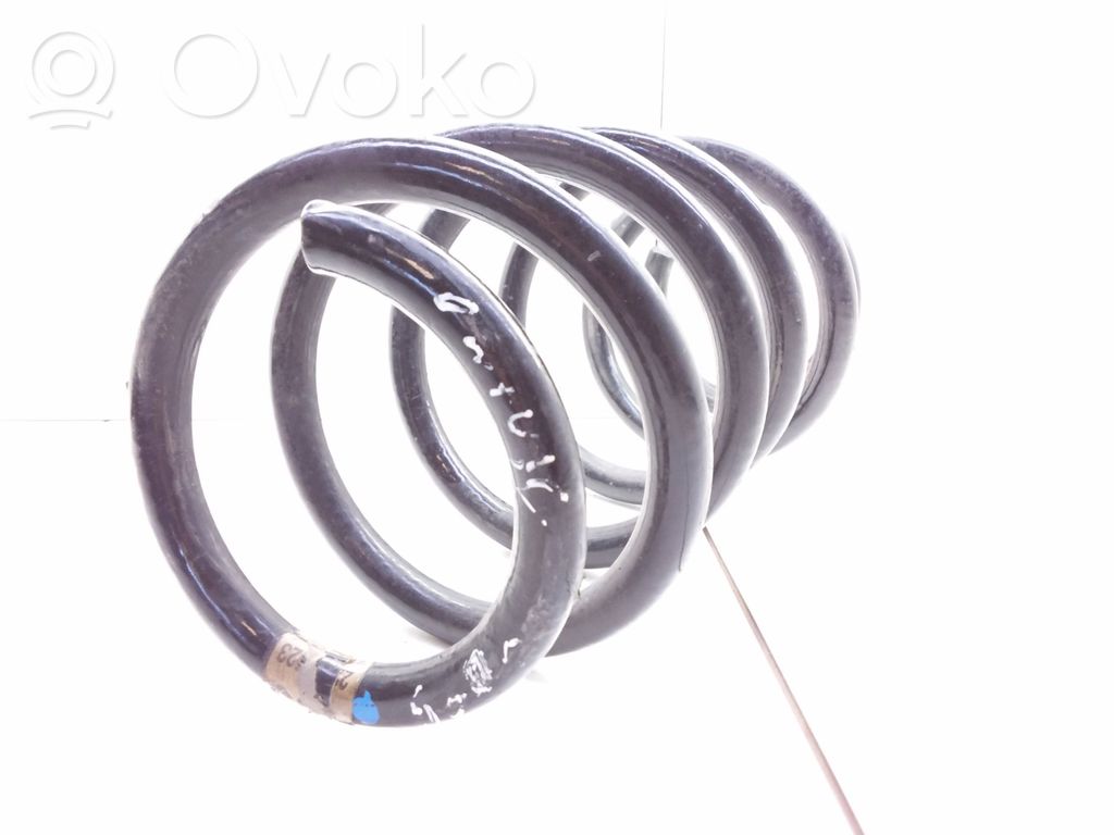 Muelle espiral trasero