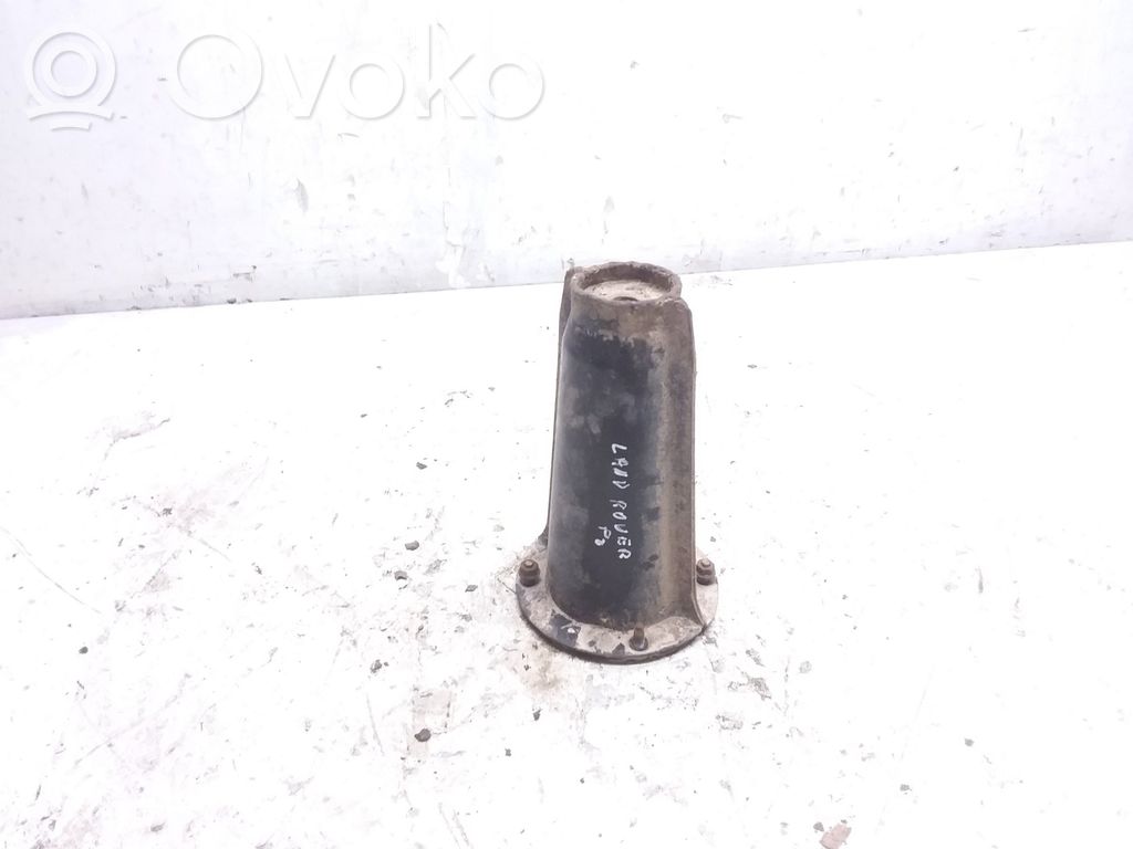 Coil spring mount