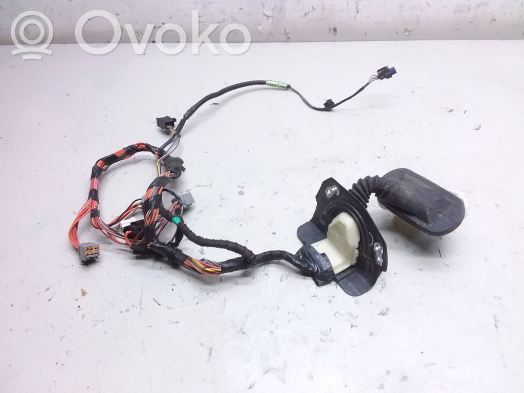 Jeep Compass Cableado de puerta delantera 
